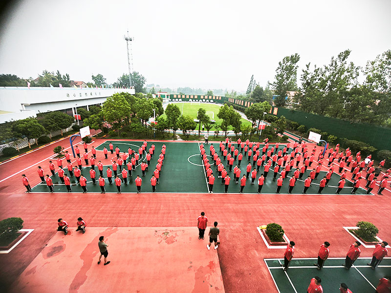 学校如何与心理老师协作，构建学生心理支持体系？