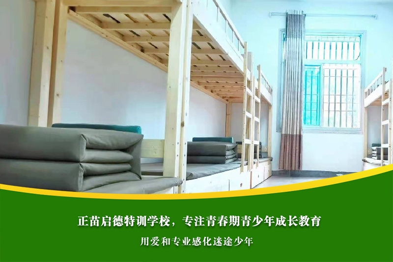 初中女孩离家出走心理压力大，家庭和学校应如何联合干预？