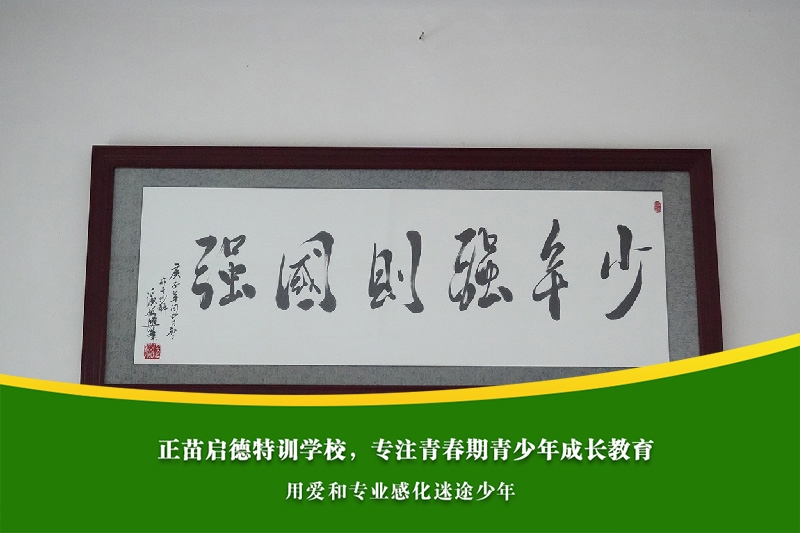 初中女孩沉迷网络游戏，成绩下降该如何补救？
