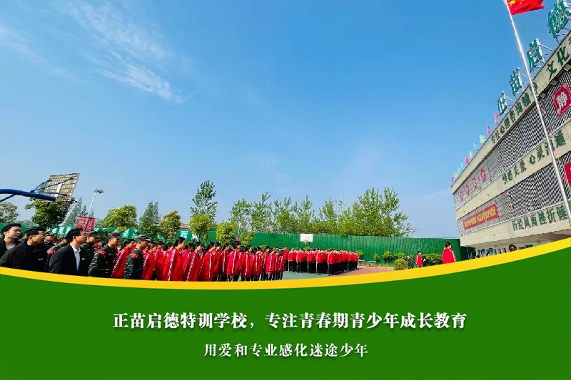 高中女孩沉迷游戏无法专心学习怎么办？