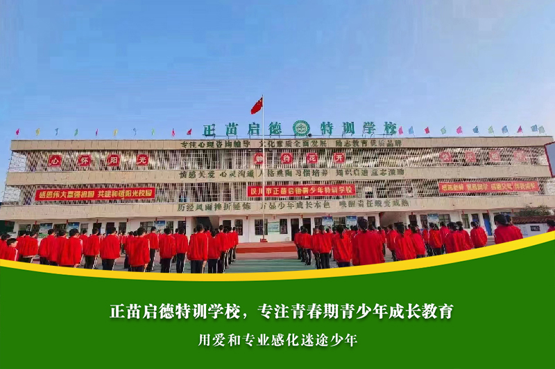 初中男孩沉迷网络聊天，家庭和学校应如何科学干预？
