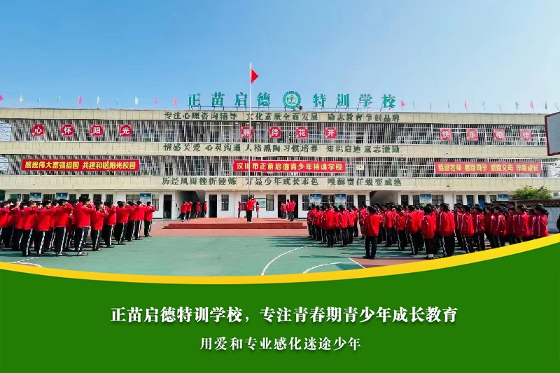 游戏成瘾对高中生学业成绩的影响有多严重？