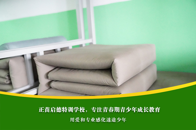高中男孩沉迷网络，总影响作息，家庭如何有效管控？