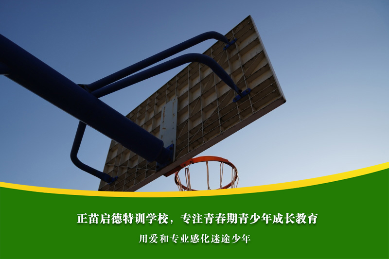 初中女孩沉迷网恋会导致哪些情绪困扰？