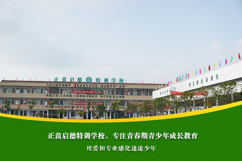 高中女孩叛逆爱顶撞，如何建立有效沟通？