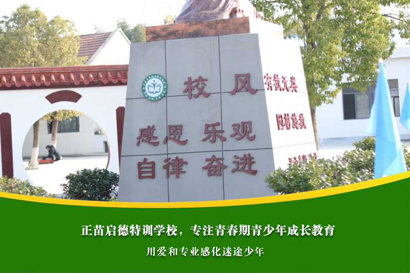 中学生叛逆期沉迷网络，如何同时管控自由？