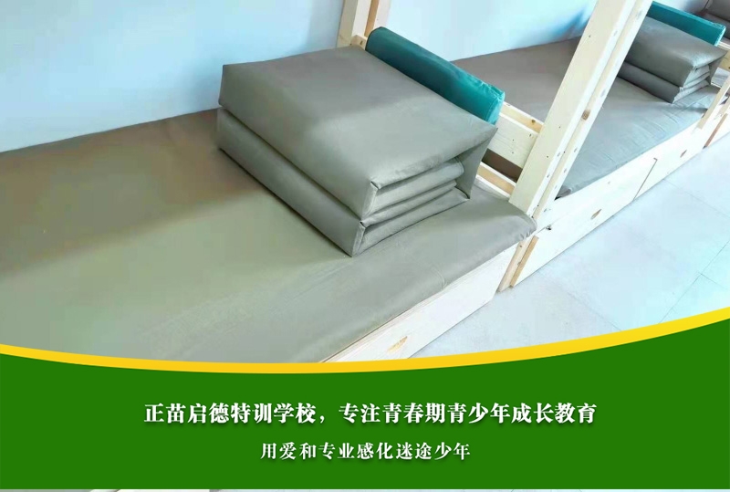 高中生沉迷网络游戏背后心理成因是什么？